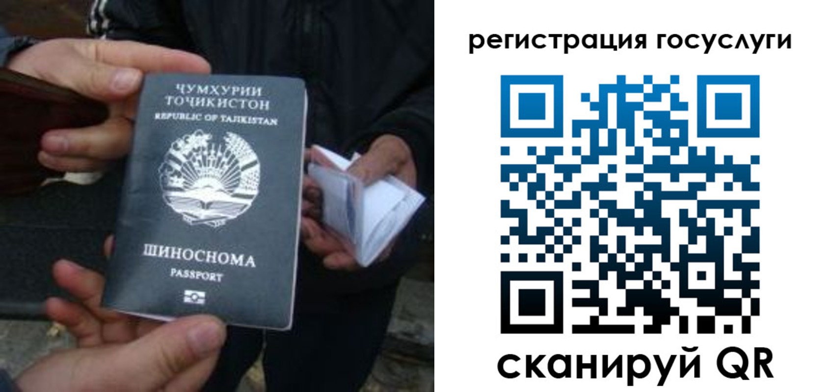 прописка регистрация в Оленегорске