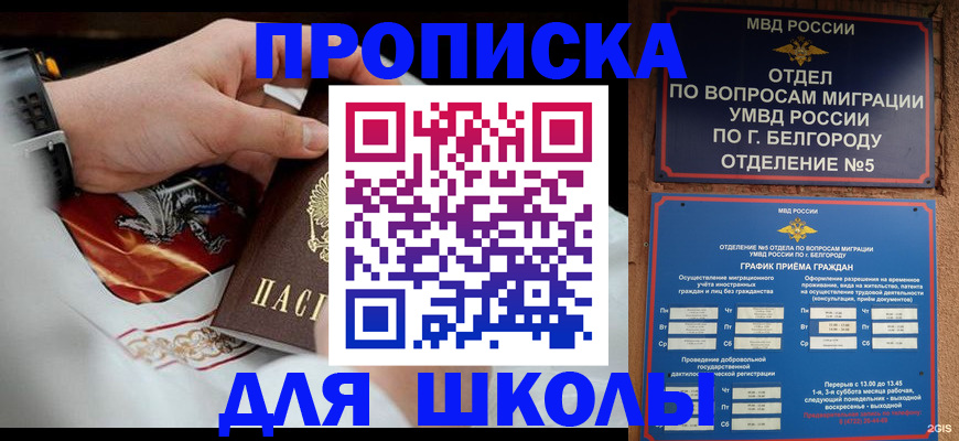 пропишу в квартире в Оленегорске